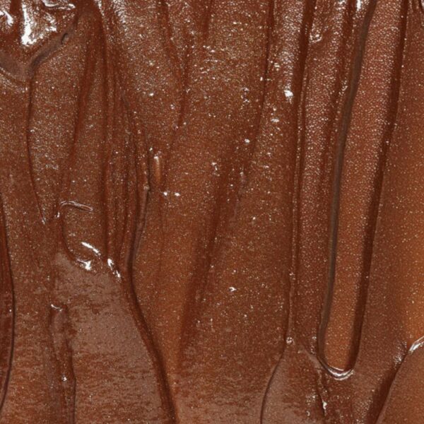 Lip Gloss Toasty Glow - Image 2
